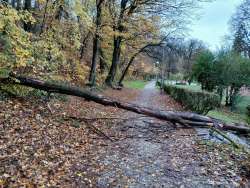 Photo of this report